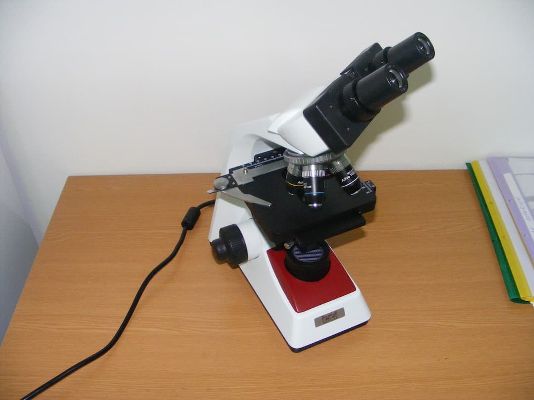 Medicina Laborator - 17