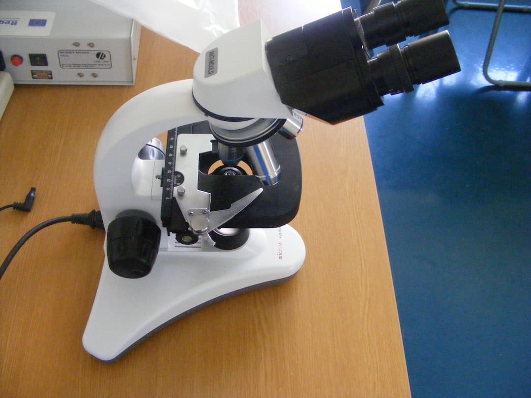 Medicina Laborator - 4